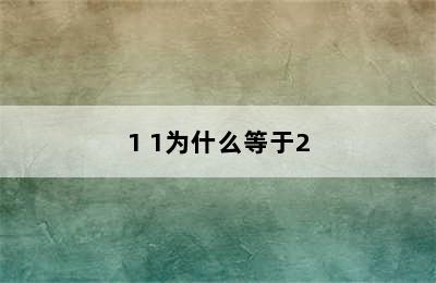 1 1为什么等于2